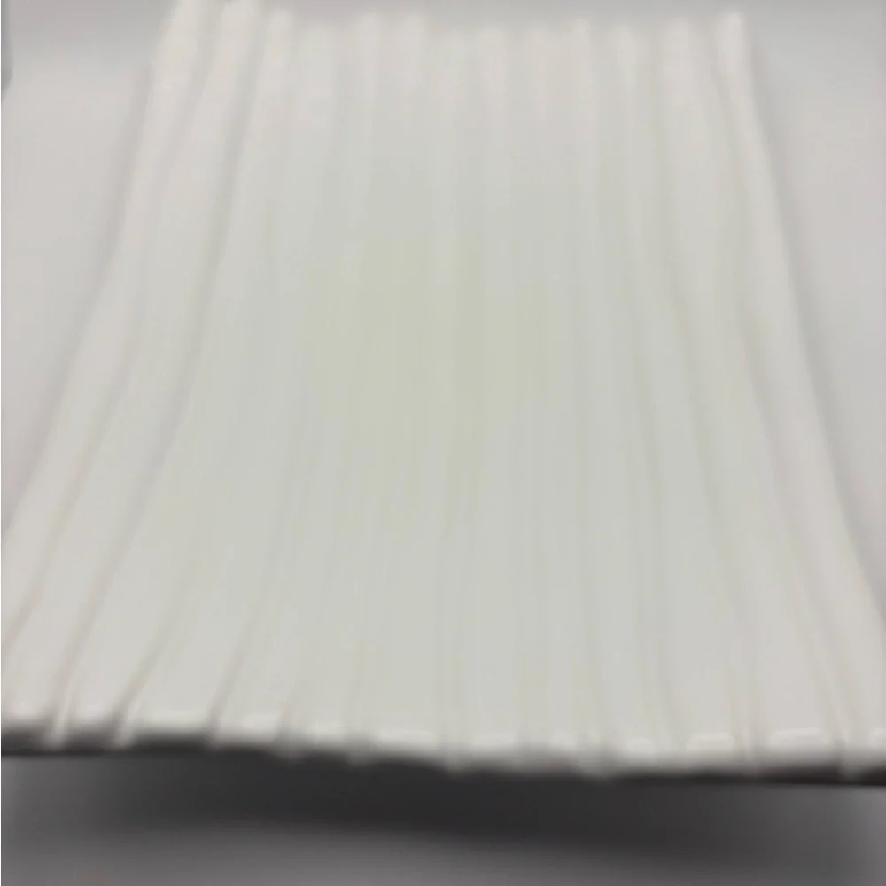White Asparagus Ceramic Tray/Plate